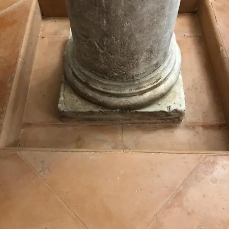 Visione Via Peltuino 19 公寓 *