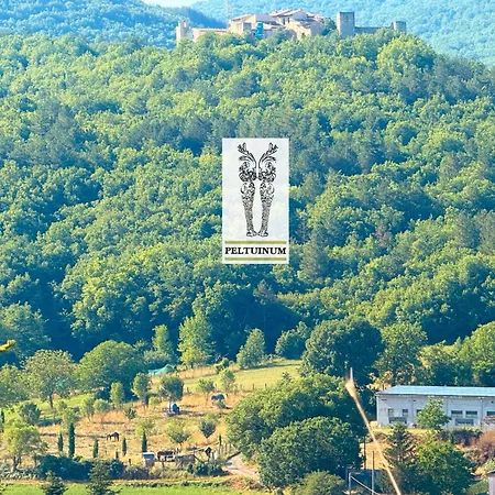 Visione Via Peltuino 19