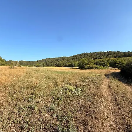 Visione Via Peltuino 19 *