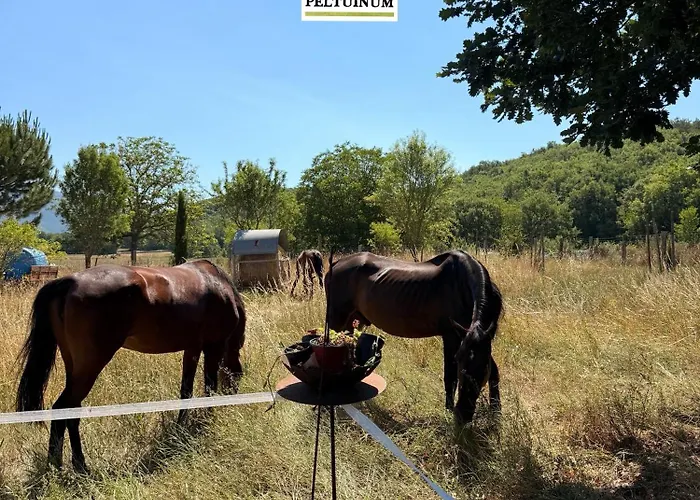 Visione Via Peltuino 19 *