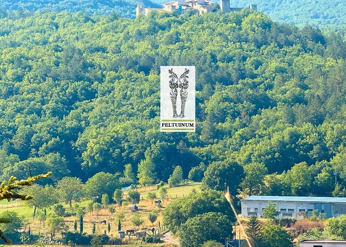 Visione Via Peltuino 19