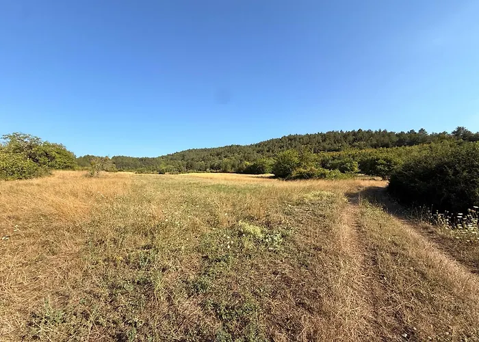 Visione Via Peltuino 19 *